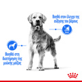 ROYAL CANIN MEDIUM LIGHT WEIGHTCARE 3KG XIRA TROFI SKuLOu